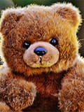 Как чистить плюшевых медведей Как чистить плюшевых медведей